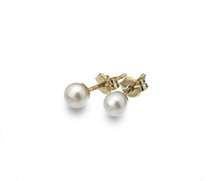 Gold and freshwater pearl studs
