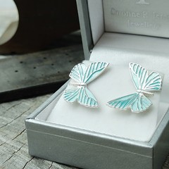 NEW Butterfly blue studs